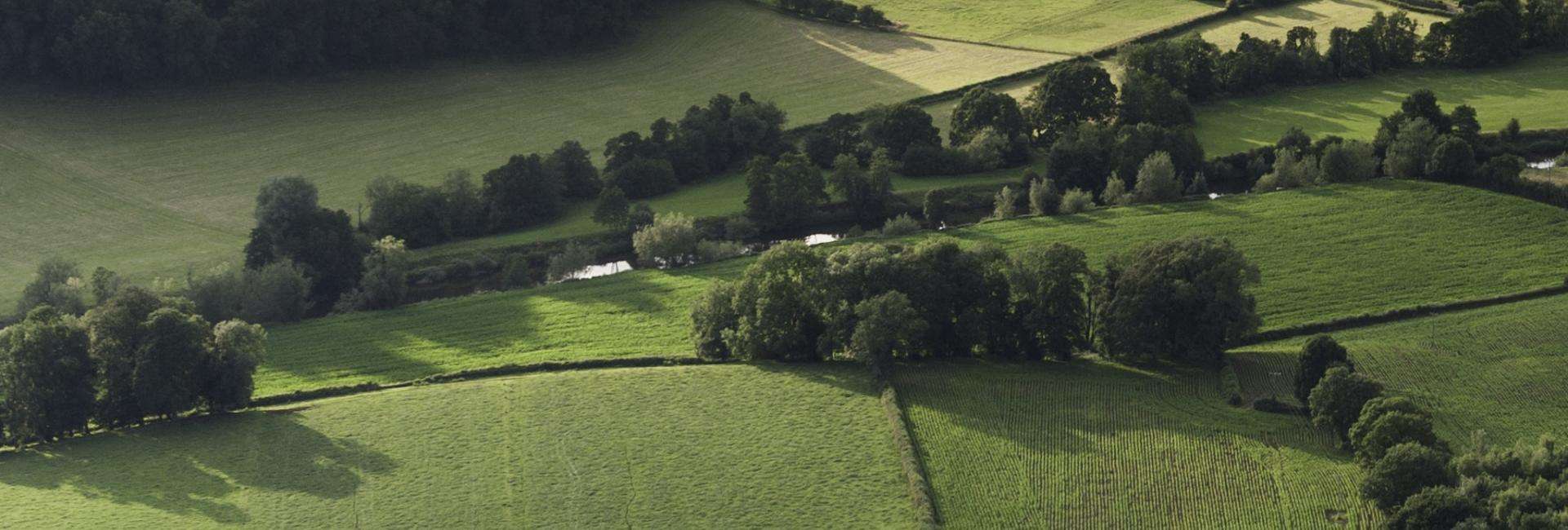 Parc naturel régional Normandie-Maine