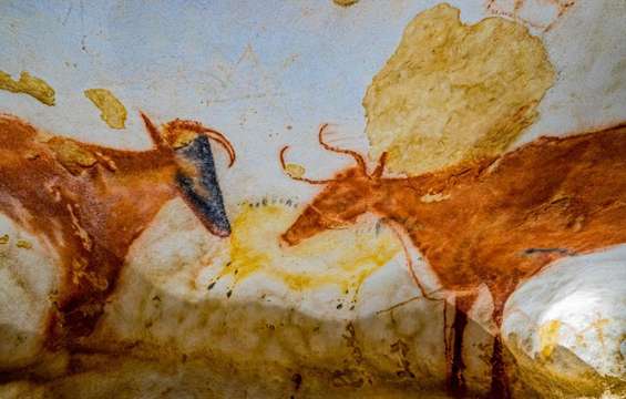 site-touristique-vinci-autoroutes-lascaux