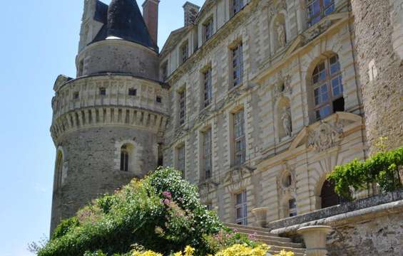 site-touristique-vinci-autoroutes-chateau-brissac