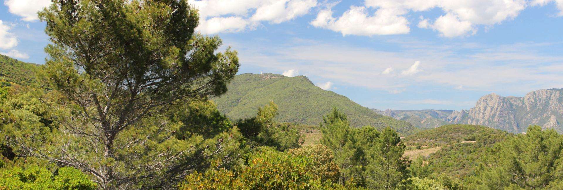 Parc naturel régional du Haut-Languedoc