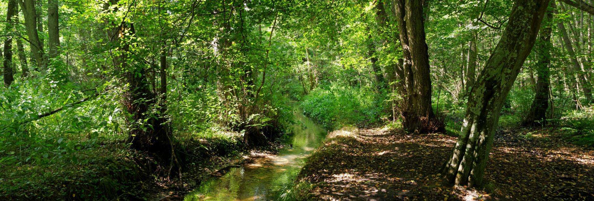 Parc naturel régional de la Haute Vallée de Chevreuse