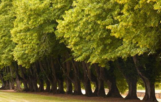 site-touristique-vinci-autoroutes-abbaye-noirlac