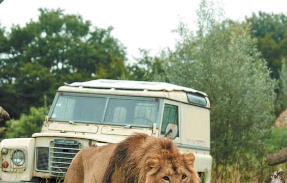 Le PAL - Parc d’attractions et Parc animalier