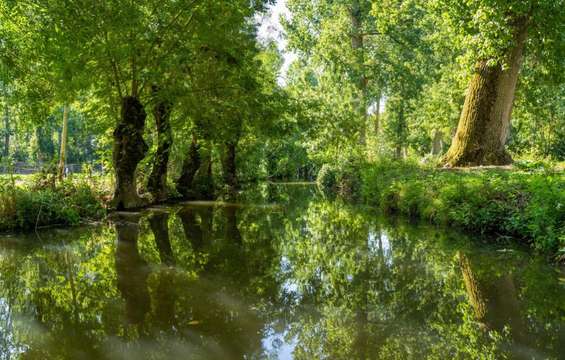 site-touristique-vinci-autoroutes-parc-naturel-regional-marais-poitevin