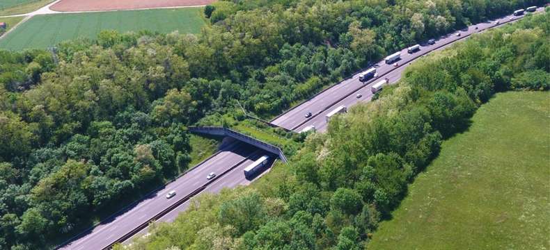 Un nouvel écopont qui surplombera bientôt l'autoroute A11