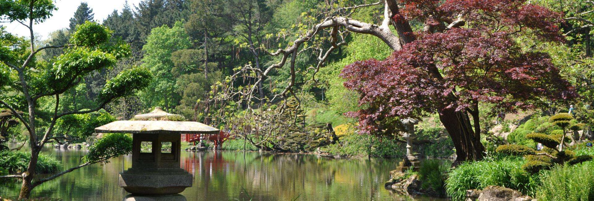 Parc oriental de Maulevrier