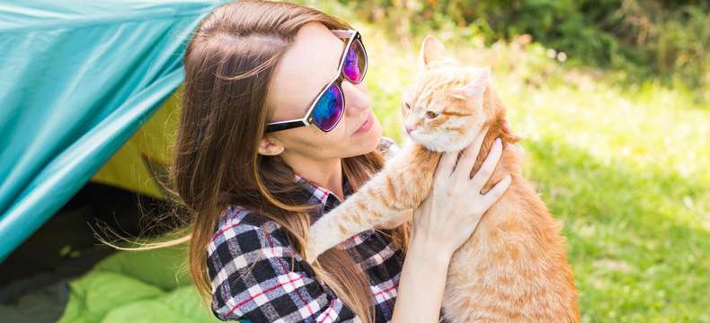 Vacances avec votre animal : des conseils pour réussir votre séjour