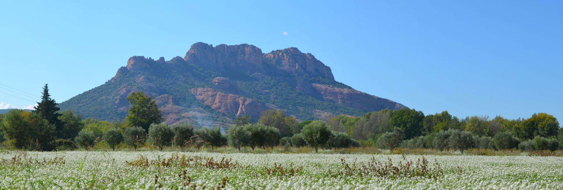 Rocher de Roquebrune