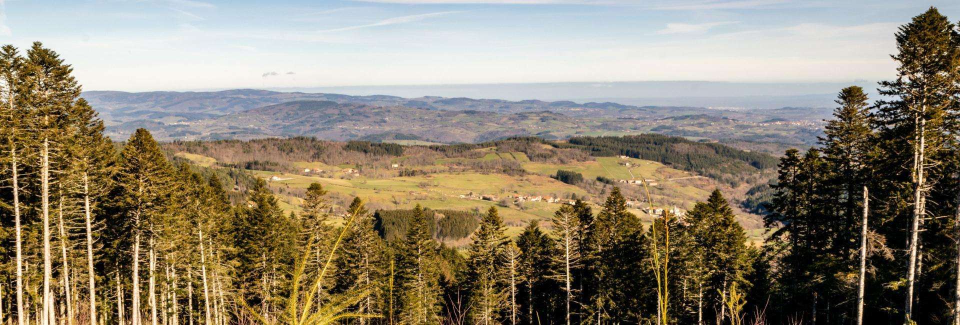 Parc naturel régional du Livradois-Forez