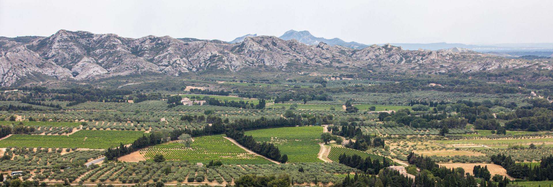 Alpilles