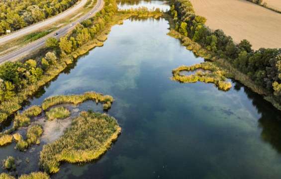 etang-jonquiers-A51