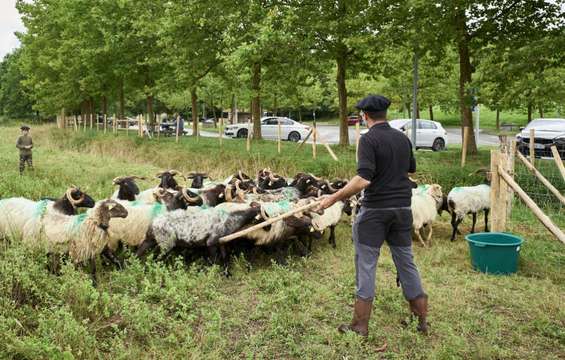 aire-autoroute-a63-urrugne-ecopaturage