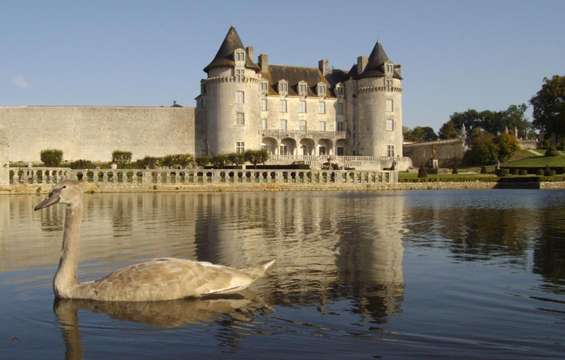 site-touristique-vinci-autoroutes-chateau-roche-courbon