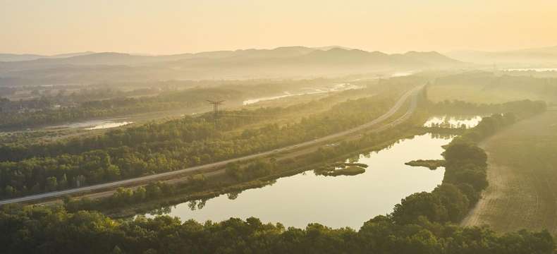 Découvrez l’Étang des Joncquiers, une réserve remarquable en Durance, près de l’autoroute A51