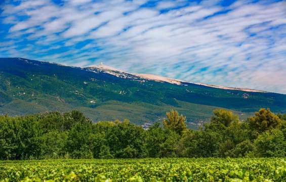 site-touristique-vinci-autoroutes-mont-ventoux