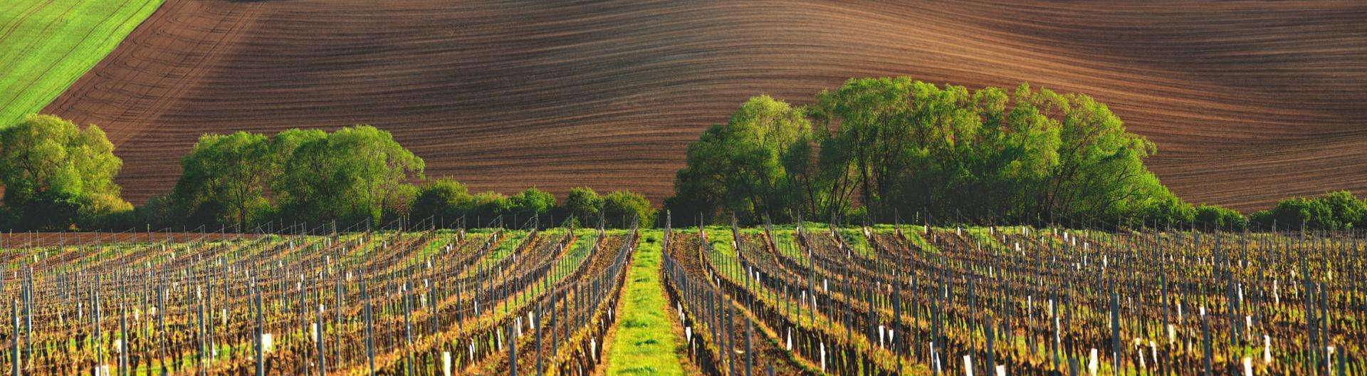 vignobles-bergerac-route-dartagnan-vinci-autoroutes