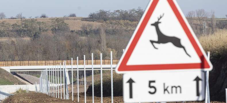 L’A355, une autoroute pionnière en matière d’environnement 