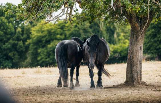 site-touristique-vinci-autoroutes-parc-naturel-perche_copyright-french-wanderers