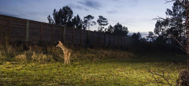 Un écopont prend forme à Narbonne sur l’A61