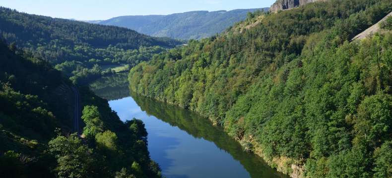 Dans le Puy-de-Dôme, les saumons nagent plus facilement sous l'autoroute A89 ! 